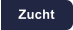 Zucht