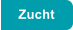 Zucht